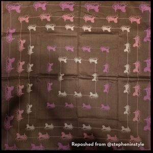 Celine Brown and Pink Scarf